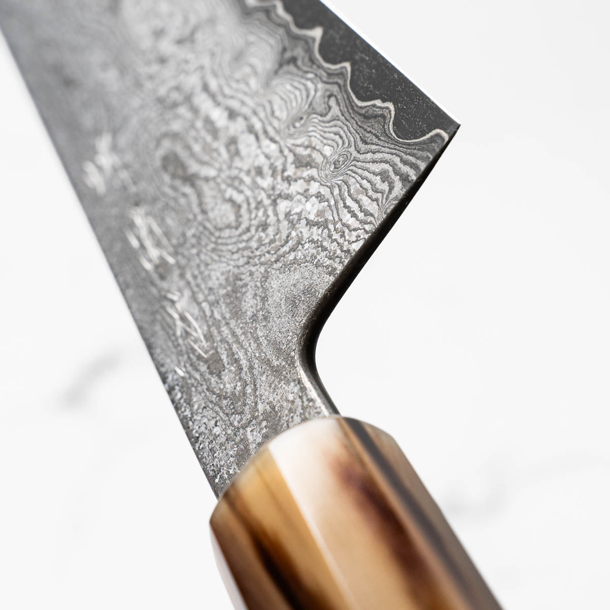 Sakai Kikumori x Nakagwa "Seiun" VG10 Gyuto 240mm - Siamese Rosewood & Blonde
