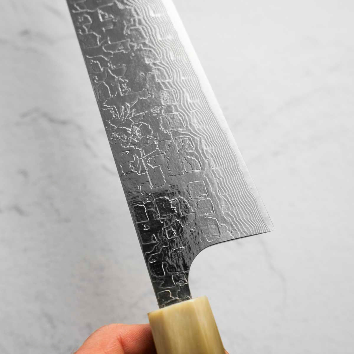 Takeshi Saji R2/SG2 Diamond Damascus Gyuto 240mm - African Blackwood
