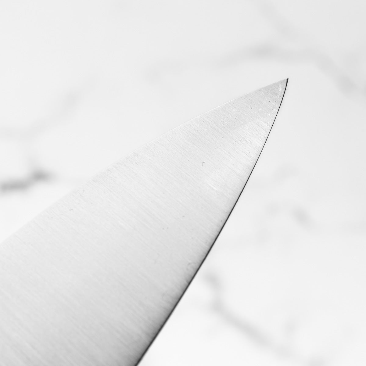 Sakai Kikumori Swedish Stainless Gyuto 240mm - Dark Maple