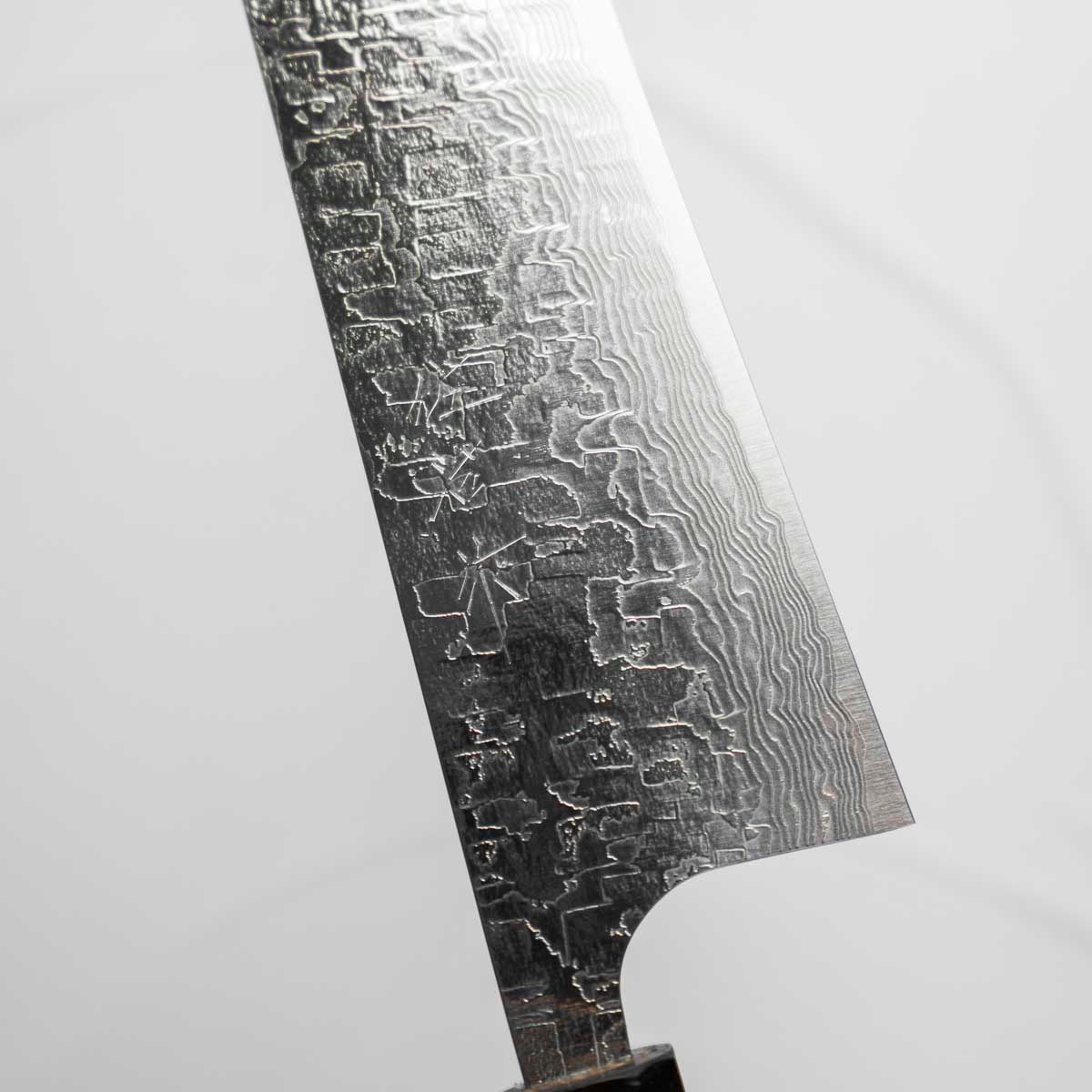 Takeshi Saji R2/SG2 Diamond Damascus Gyuto 240mm - Ebony