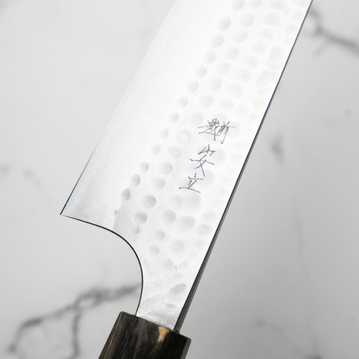 Katsushige Anryu Blue Super Gyuto 210mm