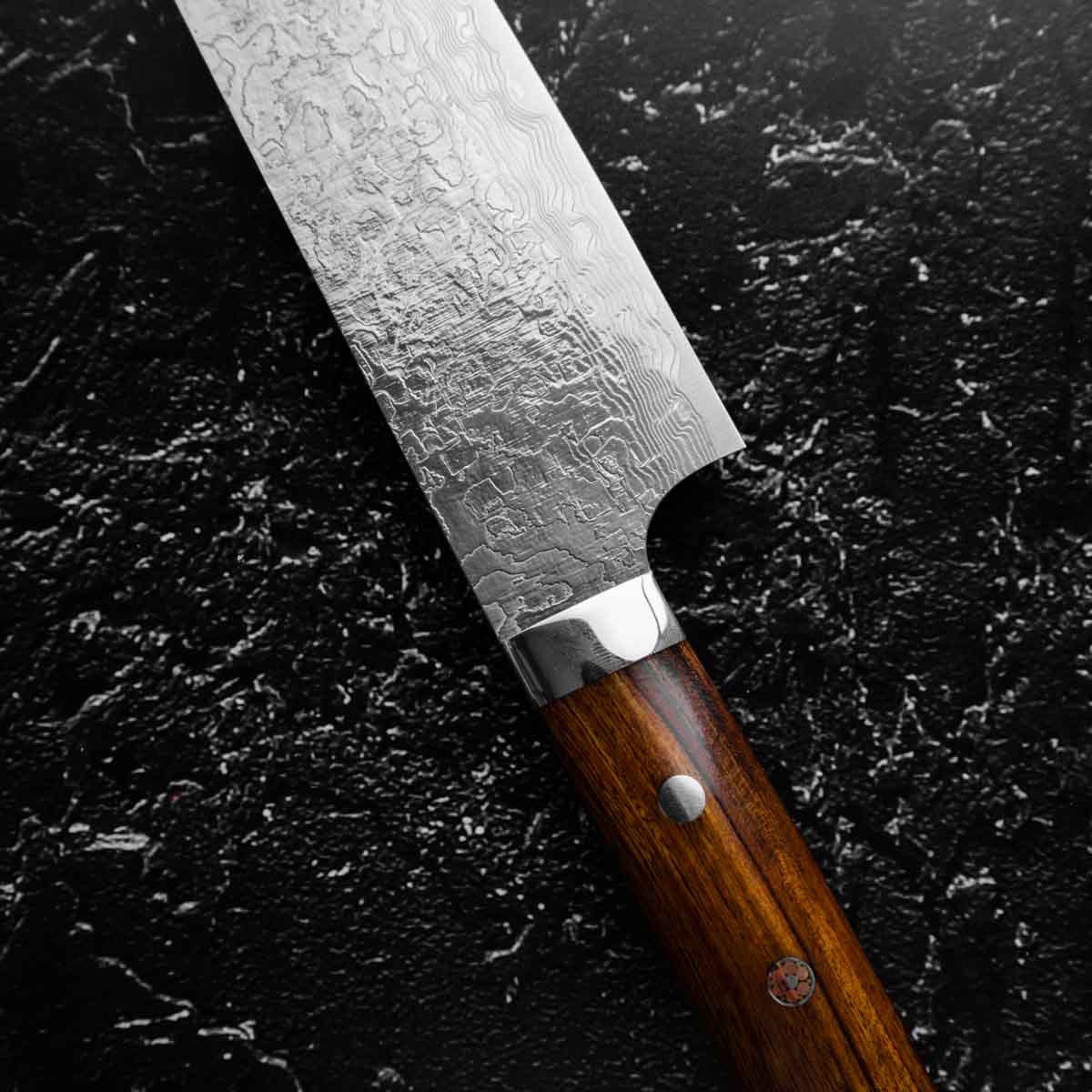 Takeshi Saji R2/SG2 Diamond Damascus Gyuto 210mm