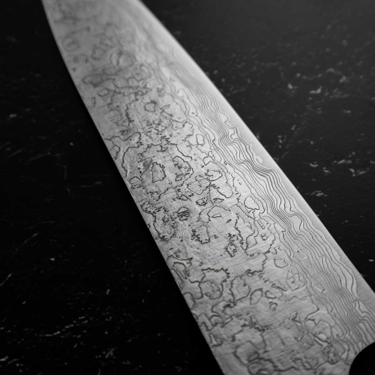 Takeshi Saji R2/SG2 Diamond Damascus Gyuto 210mm