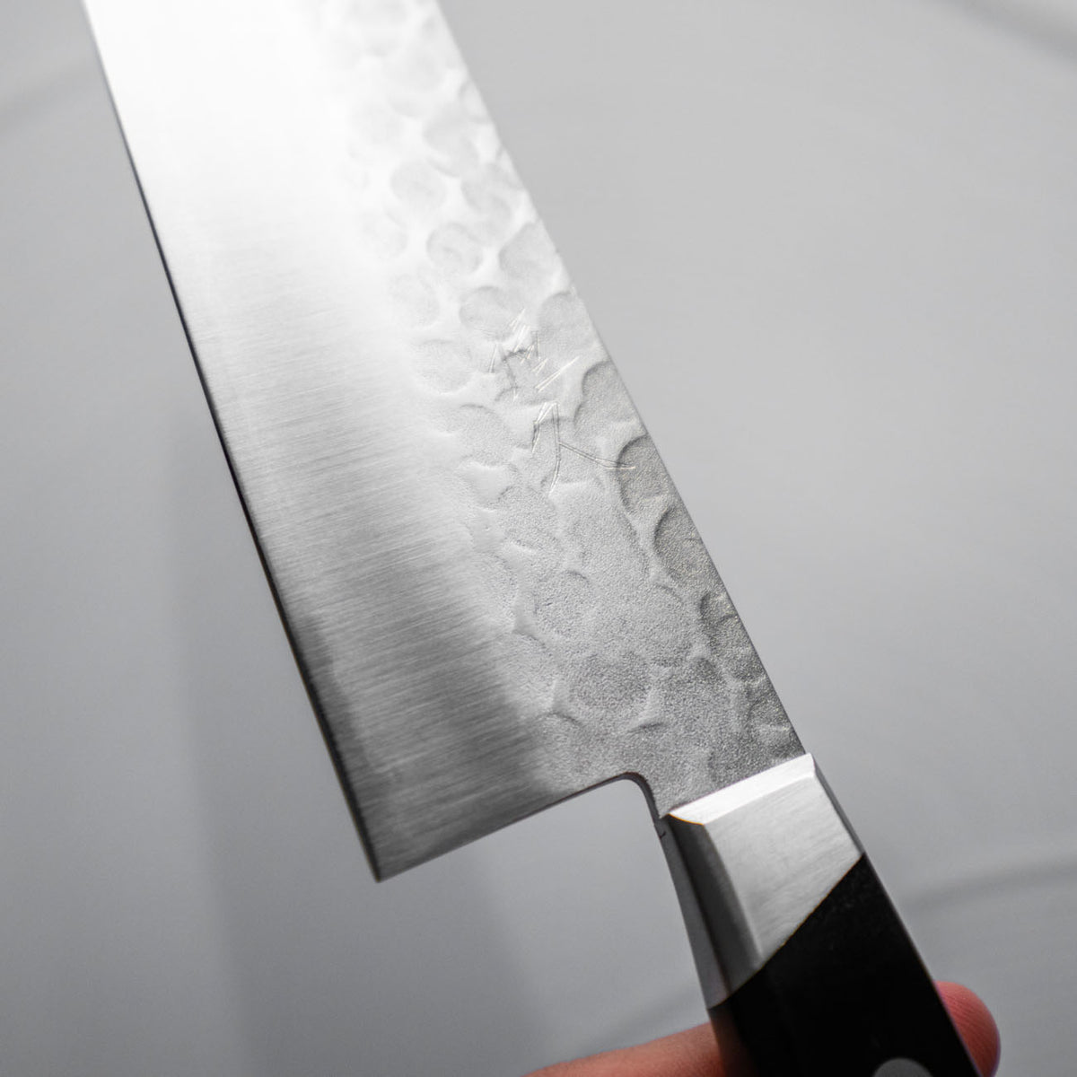 Tsunehisa Blue 2 - Western Handle Gyuto 200mm