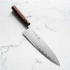 Y.Tanaka x Sakai Kikumori Blue 2 Gyuto 255mm - Siamese Rosewood and Blonde