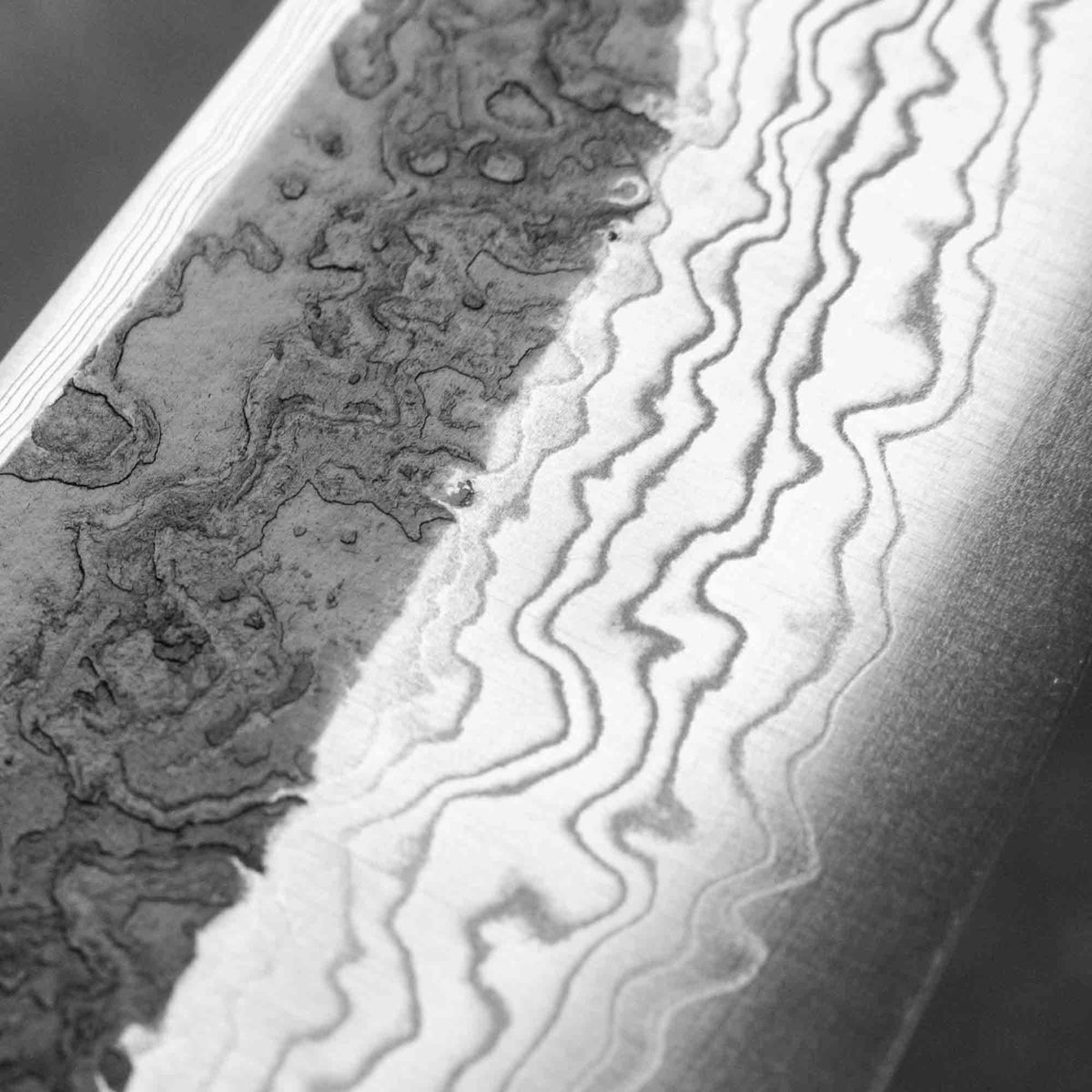 Hatsukokoro Yorokobi SP Kurouchi Damascus SLD Kiritsuke 210mm - Siamese Rosewood