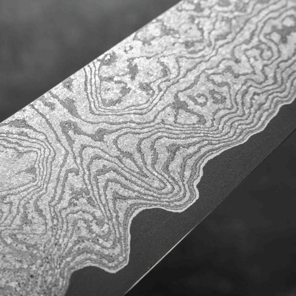 Hatsukokoro x Nigara Hamono VGXEOS Kiritsuke 210mm - Siamese Rosewood