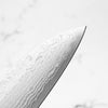 Tsunehisa 440C Damascus Tsuchime Gyuto 210mm - Maple Turquoise