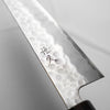 Tsunehisa White 2 SS Clad Tsuchime Gyuto 210mm - Ebony