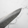 Tsunehisa SLD Washiji Gyuto 210mm