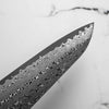Nigara Hamono SG2 Raindrop Damascus Gyuto 210mm