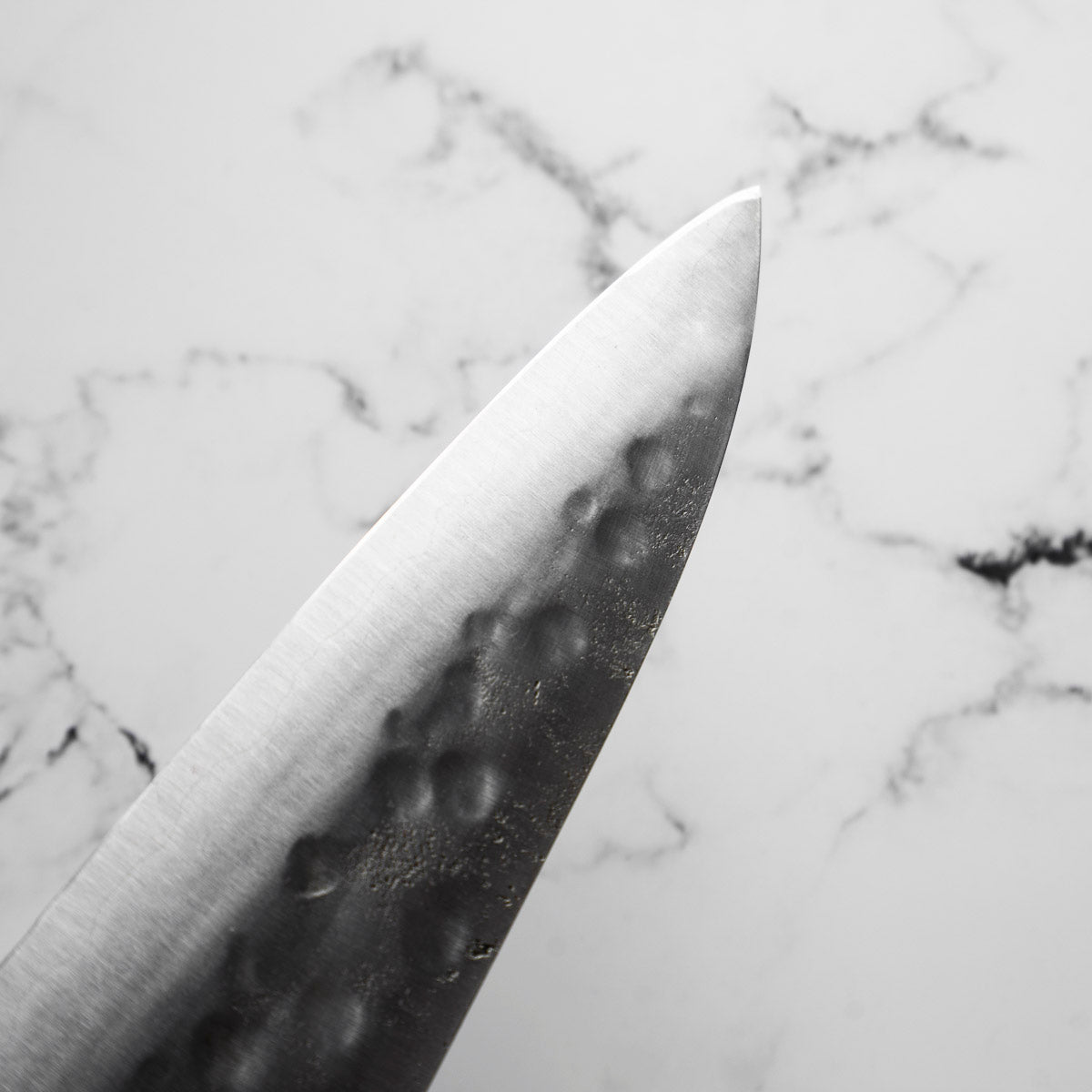 Teruyasu Fujiwara Maboroshi Gyuto 300mm