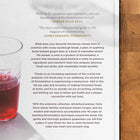 Ferment: A Guide to the Ancient Art of Culturing Foods