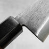 Moritaka Blue 2 Honesuki 150mm
