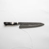 Teruyasu Fujiwara Denka Gyuto 210mm