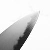 Y.Tanaka x Sakai Kikumori Extra Tall Blue 1 Gyuto 255mm - Siamese Rosewood & Blonde