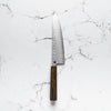 Hajimaru Ginsan Nashiji Gyuto 210mm - Mono Bubinga