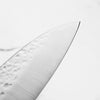 Touroku Sakai Monosteel Tsuchime Gyuto 210mm