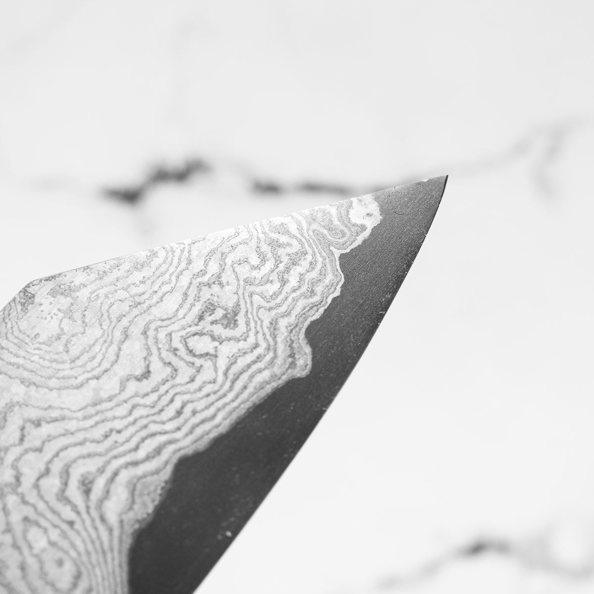 Hatsukokoro x Nigara Hamono VGXEOS Kiritsuke 210mm