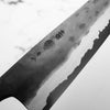 Kyohei Shindo Blue 2 Gyuto 210mm - Ebony & Blonde