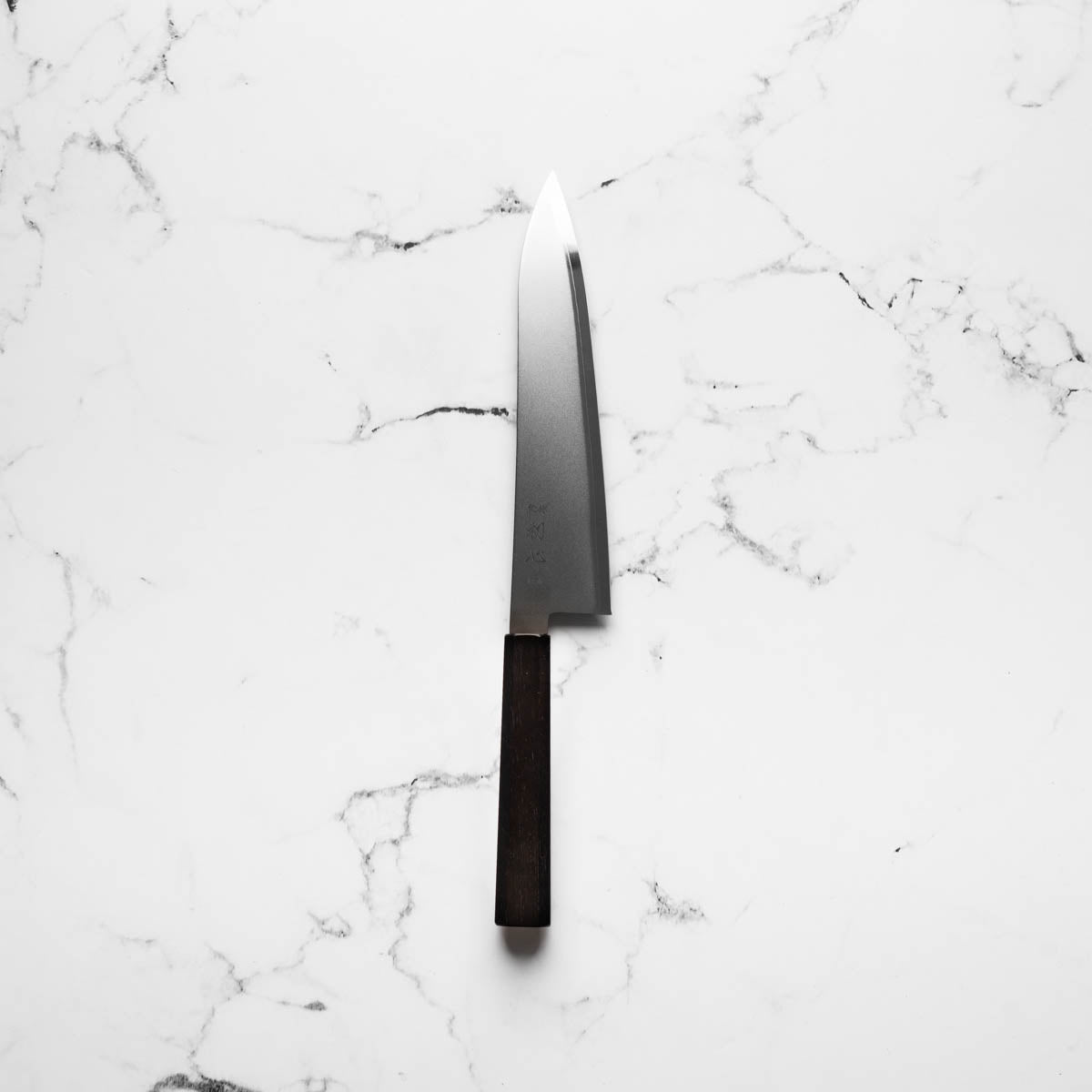 Hatsukokoro Kaijin Blue 2 Stainless Clad Gyuto 210mm - Mono Ebony