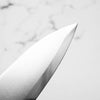 Hatsukokoro Kaijin Blue 2 Stainless Clad Gyuto 210mm - Mono Ebony