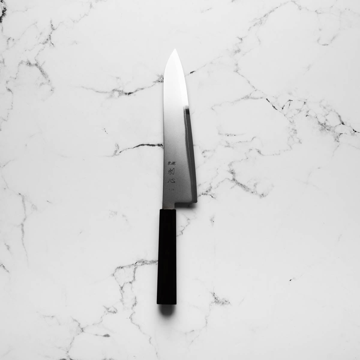 Hatsukokoro Kaijin Blue 2 Stainless Clad Gyuto 240mm