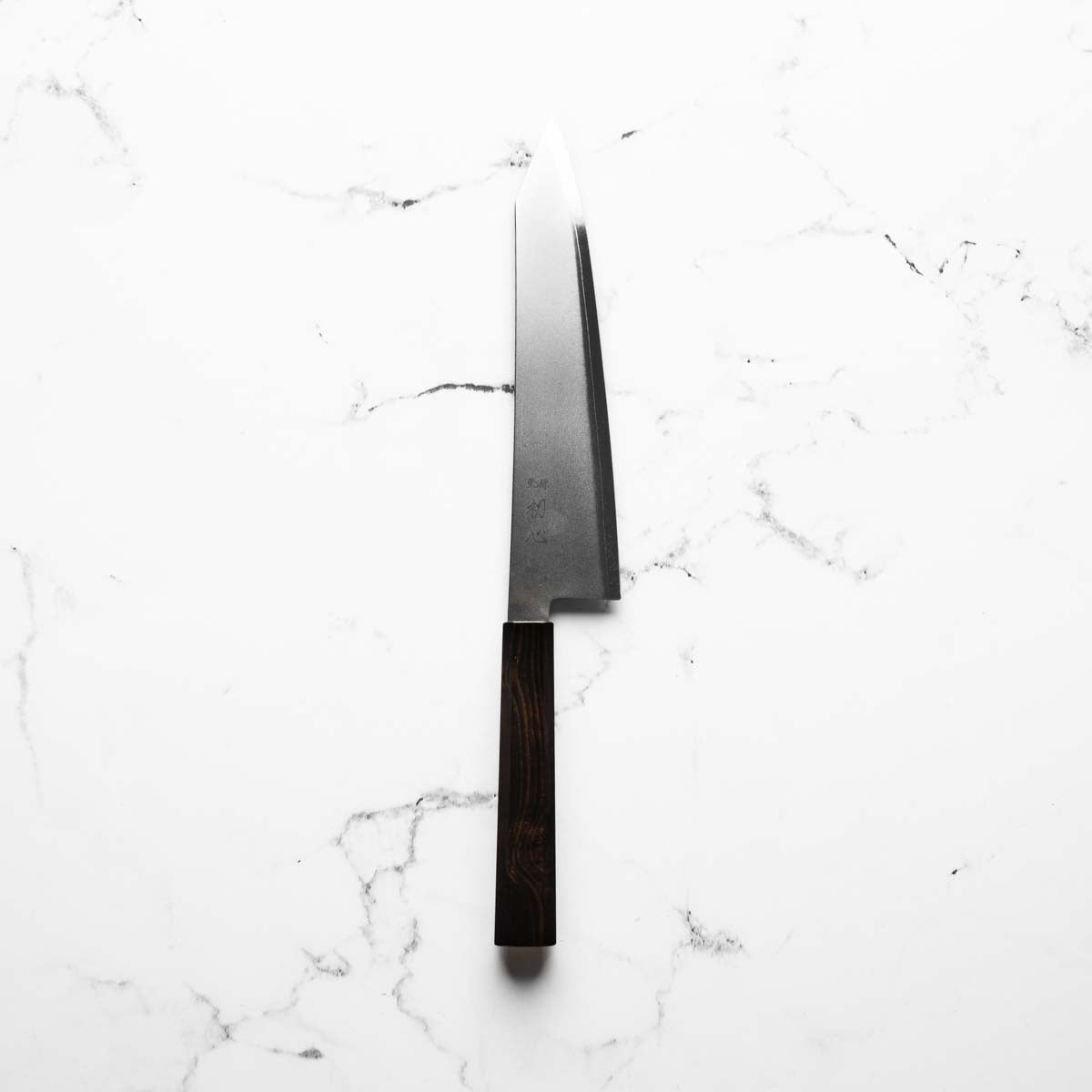 Hatsukokoro Kaijin Blue 2 Stainless Clad Kiritsuke Gyuto 210mm - Ebony - blade detail