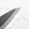 Mutsumi Hinoura Ajikataya White 2 Gyuto 210mm - Lauraceae & Black Horn
