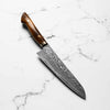 Shigeki Tanaka R2 Damascus Gyuto 180mm - Western Ironwood
