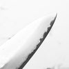 Shizu Hamono "Bessaku" Gyuto 210mm - view 6