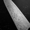 Takeshi Saji R2/SG2 Diamond Damascus Gyuto 210mm