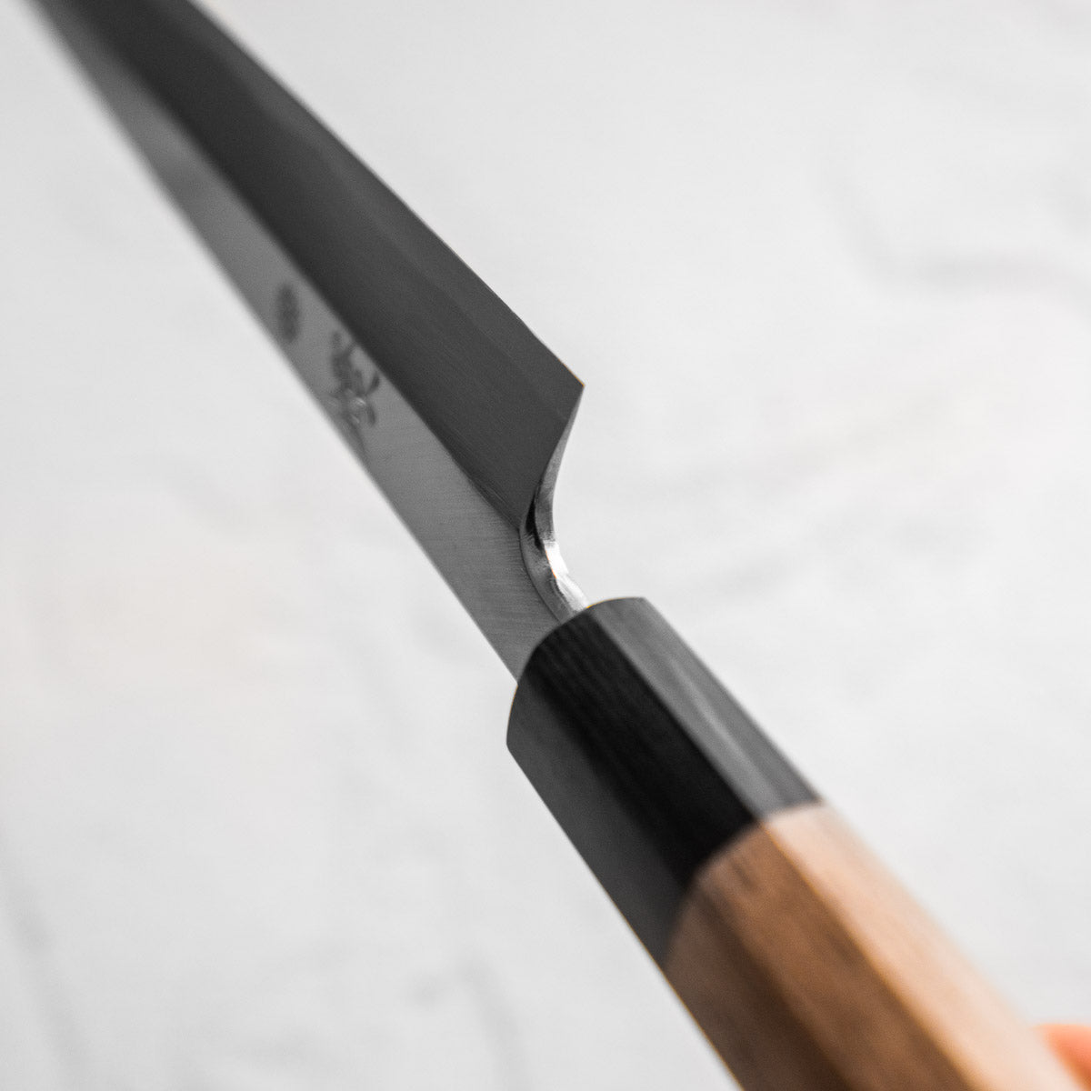 Sakai Kikumori Tomoshibi Yanagiba 240mm