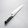Tsunehisa Blue 2 - Western Handle Gyuto 200mm