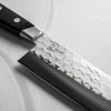 Tsunehisa Blue 2 - Western Handle Gyuto 200mm