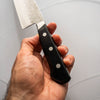 Tsunehisa Blue 2 - Western Handle Gyuto 200mm