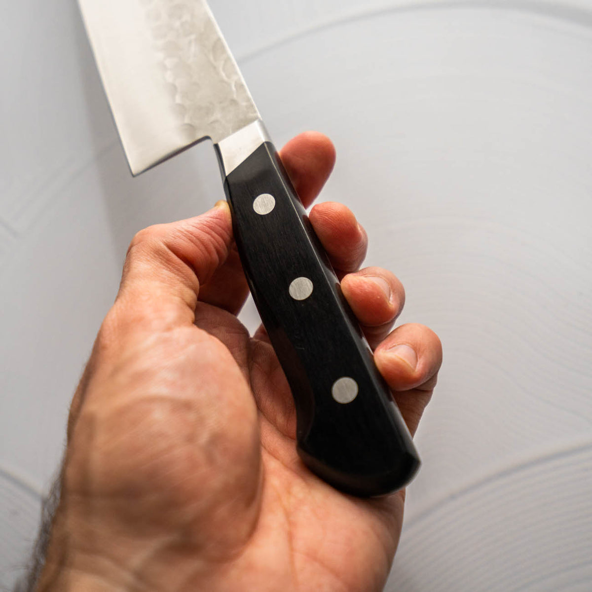 Tsunehisa Blue 2 - Western Handle Gyuto 200mm