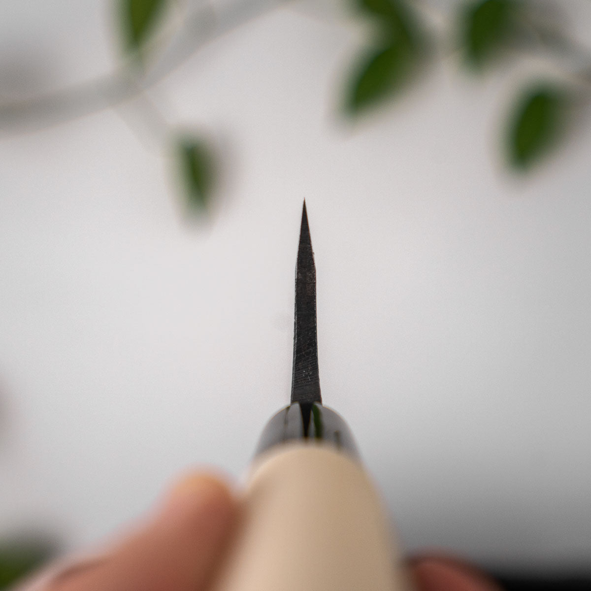Fukamizu Double Bevel Deba 150mm