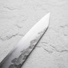 Matsubara Hamono Blue 2 Kiritsuke Sujihiki 300mm